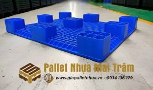 Pallet Nhựa - Giải pháp lưu trữ thiết bị dạy học trong trường học hiện đại
